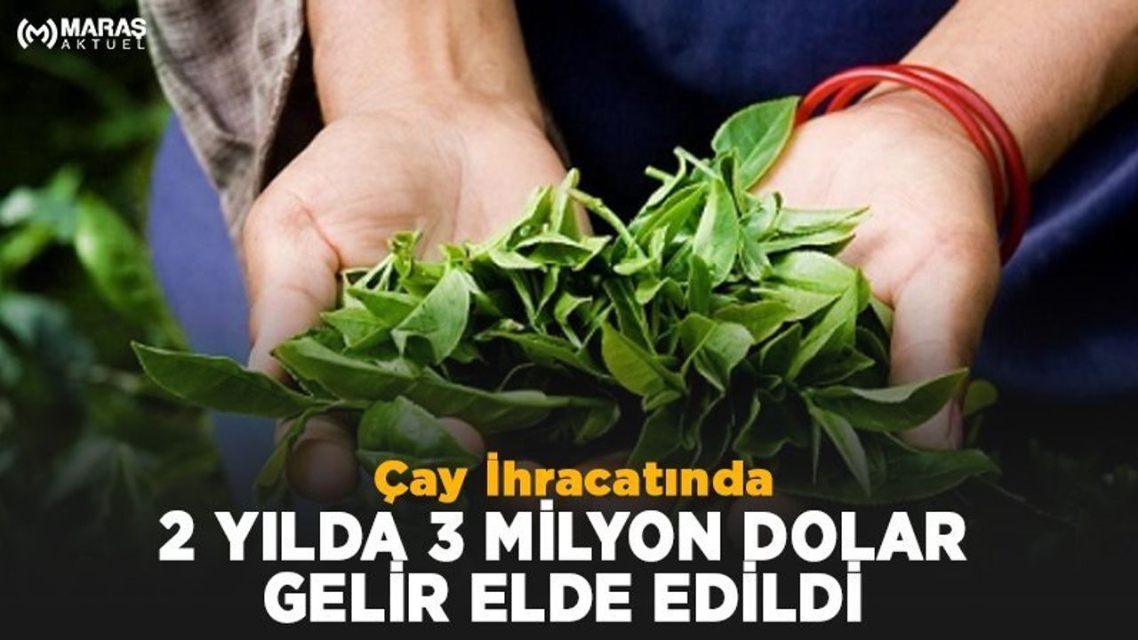 Çay İhracatında 2 Yılda 3 Milyon Dolar Gelir Elde Edildi