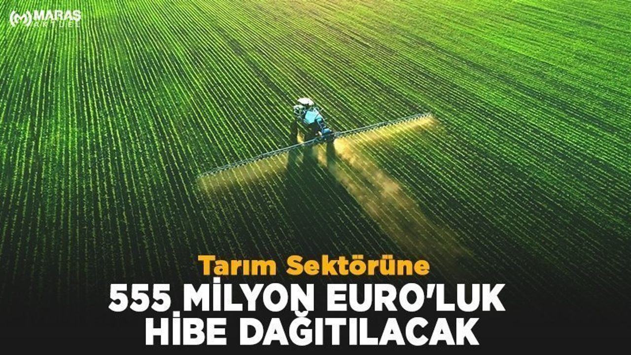 Tarım Sektörüne 555 Milyon Euro'luk Hibe Dağıtılacak