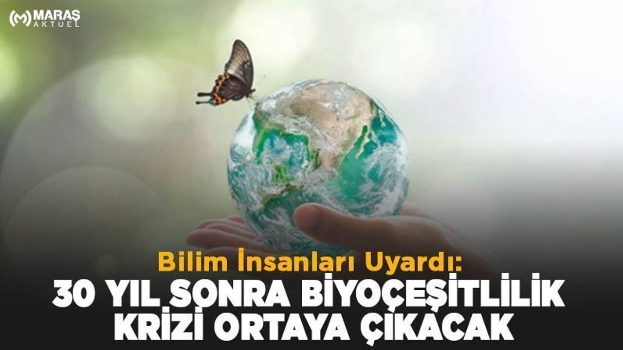 Bilim İnsanları Uyardı: 30 Yıl Sonra Biyoçeşitlilik Krizi Ortaya Çıkacak