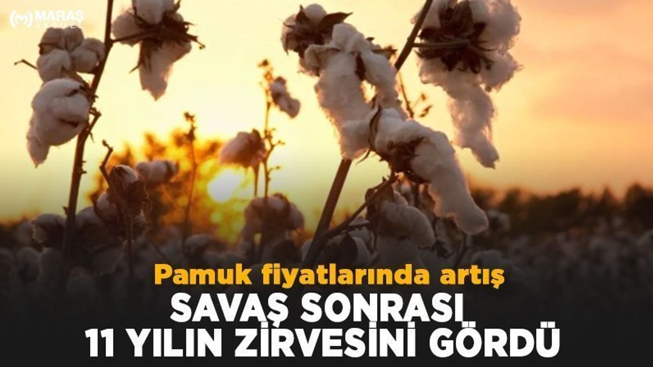Pamuğun Fiyatına Savaş Darbesi
