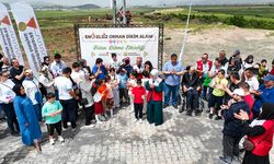 “Büyükşehir’den Engelsiz Orman”