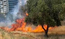 Kahramanmaraş'ta zeytin bahçesinde çıkan yangın söndürüldü