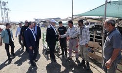 Dulkadiroğlu’nda Kurbanlık Satışı İçin Hijyenik ve Güvenli Altyapı Hazırlandı