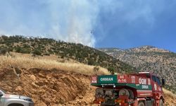 Kahramanmaraş'ta çıkan orman yangınına müdahale ediliyor