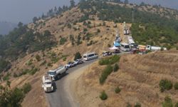 Kahramanmaraş'ta çıkan orman yangını kontrol altına alındı
