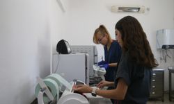 Kahramanmaraş'taki Kapıçam Bakımevi sokak hayvanlarına hem yuva hem şifa oluyor