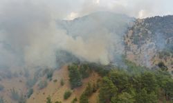 Kahramanmaraş'taki orman yangınına müdahale 3. gününde sürüyor