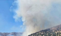 Kahramanmaraş'ta çıkan orman yangınına müdahale ediliyor