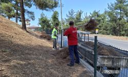 Parklar Temizleniyor, Doğa Yeniden Nefes Alıyor