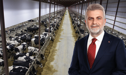 Elbistan Besi OSB’nin İmar Planı Onaylandı