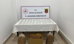 Jandarmadan kaçak tütün operasyonu