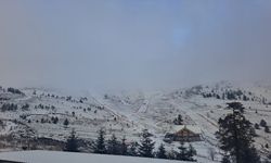 Bolu'nun yüksek kesimlerine kar yağdı