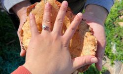 Ormanlık alandan toplanan mantar geçim kapısı oldu