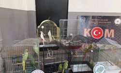Kaçakçılık ve organize suçlarla mücadele sürüyor