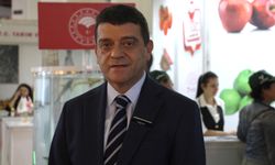 Türkiye'den yurt dışına sebzede en çok domates, salatalık ve biber tohumu gönderiliyor