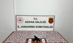Uyuşturucu operasyonunda yakalanan şüpheli tutuklandı