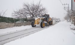 Karla Mücadele Çalışmaları Yoğun Bir Şekilde Devam Ediyor