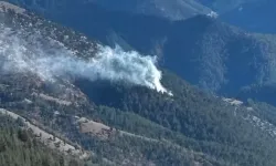 Feke'de çıkan orman yangını kontrol altına alındı