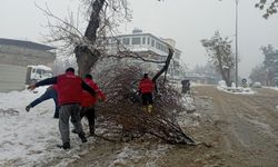 Büyükşehir Kış Mesaisini Sürdürüyor; Kırılan Dallara Anında Müdahale