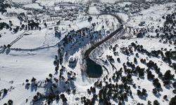 Kahramanmaraş'taki Yeşilgöz Gölü'nde kış manzarası havadan görüntülendi