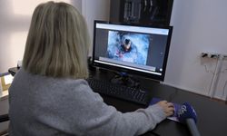 Prof. Dr. Çobaner AA'nın 'Yılın Kareleri' oylamasına katıldı