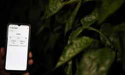 Üreticiler dijital tarım uygulamasıyla seralarını telefondan izleyebiliyor