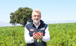 Büyükşehir’den 2025’te Çiftçiye 100 Milyonluk Destek, Üretime Güç