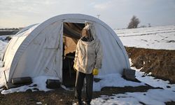 Depremde arılarını kaybeden arıcı, devlet desteğiyle üretimini sürdürdü