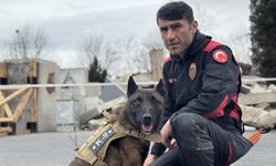 Ölen arama kurtarma köpeği Gece'nin görevi 'Vondi'ye emanet