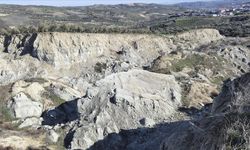 Hatay'da 400 metrelik fay yarığı oluşan zeytinlikte 'toprak kayması' sürebilir uyarısı