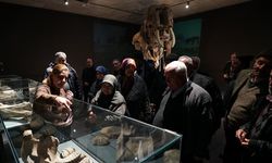 Büyükşehir, Ulu Çınarları Tarihle Buluşturdu