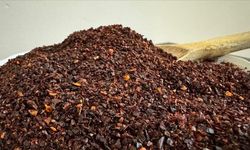 Türkiye'den 2 ayda yaklaşık 101 milyon dolarlık biber ihracatı