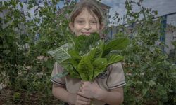 Çocuklar ekolojik bahçede toprağa dokunarak öğreniyor