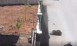 Kahramanmaraş'ta hafif ticari aracın yayaya çarptığı kaza güvenlik kamerasında