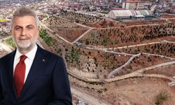 75 Bin Metrekarelik Yeşil Nefes… Karbon Yutak Alanı’nda Çalışmalar Sürüyor