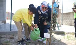 Dulkadiroğlu Belediyesi okul saldırısında hayatını kaybedenler için fidan dikti
