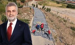 Büyükşehir’in ‘Yeşil Dönüşüm’ Hamlesi Karbon Yutak Alanı’nda Çalışmalar Sürüyor