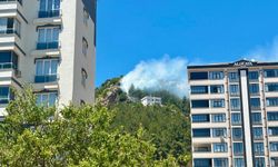 Kahramanmaraş'ta çıkan orman yangını kontrol altına alındı