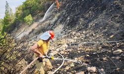 Kahramanmaraş'ta çıkan orman yangını kontrol altına alındı