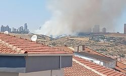 Kahramanmaraş'ta ziraat alanında çıkan yangın kontrol altına alındı
