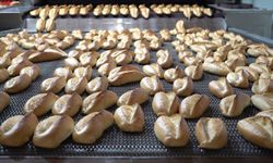 Büyükşehir Halk Ekmek’ten Doğal Üretime Yenilikçi Adım