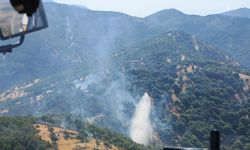 Kahramanmaraş'ta çıkan orman yangını kontrol altına alındı