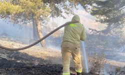 Kahramanmaraş'ta çıkan orman yangını kontrol altına alındı