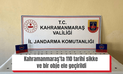 Kahramanmaraş'ta 110 tarihi sikke ve bir obje ele geçirildi