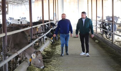Hatay'da depremde hayvanlarını kaybeden besiciler, devlet desteğiyle yeniden ayağa kalktı