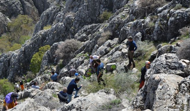 Kahramanmaraş'taki ters laleler fotoğraf tutkunlarının ilgisini çekiyor