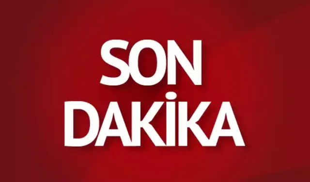 Kahramanmaraş'ta devrilen otomobilin sürücüsü öldü