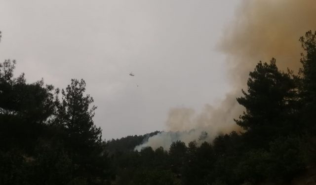 Kahramanmaraş'ın Onikişubat ilçesinde orman yangını çıktı