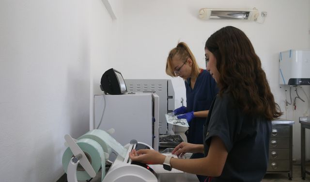 Kahramanmaraş'taki Kapıçam Bakımevi sokak hayvanlarına hem yuva hem şifa oluyor
