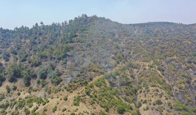 Kahramanmaraş'taki orman yangınına müdahale 2. gününde sürüyor